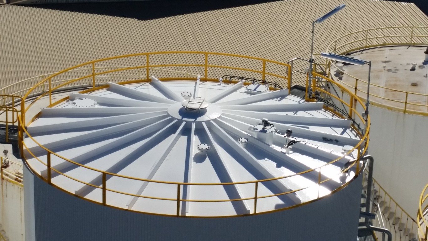 Bulk storage tank roof