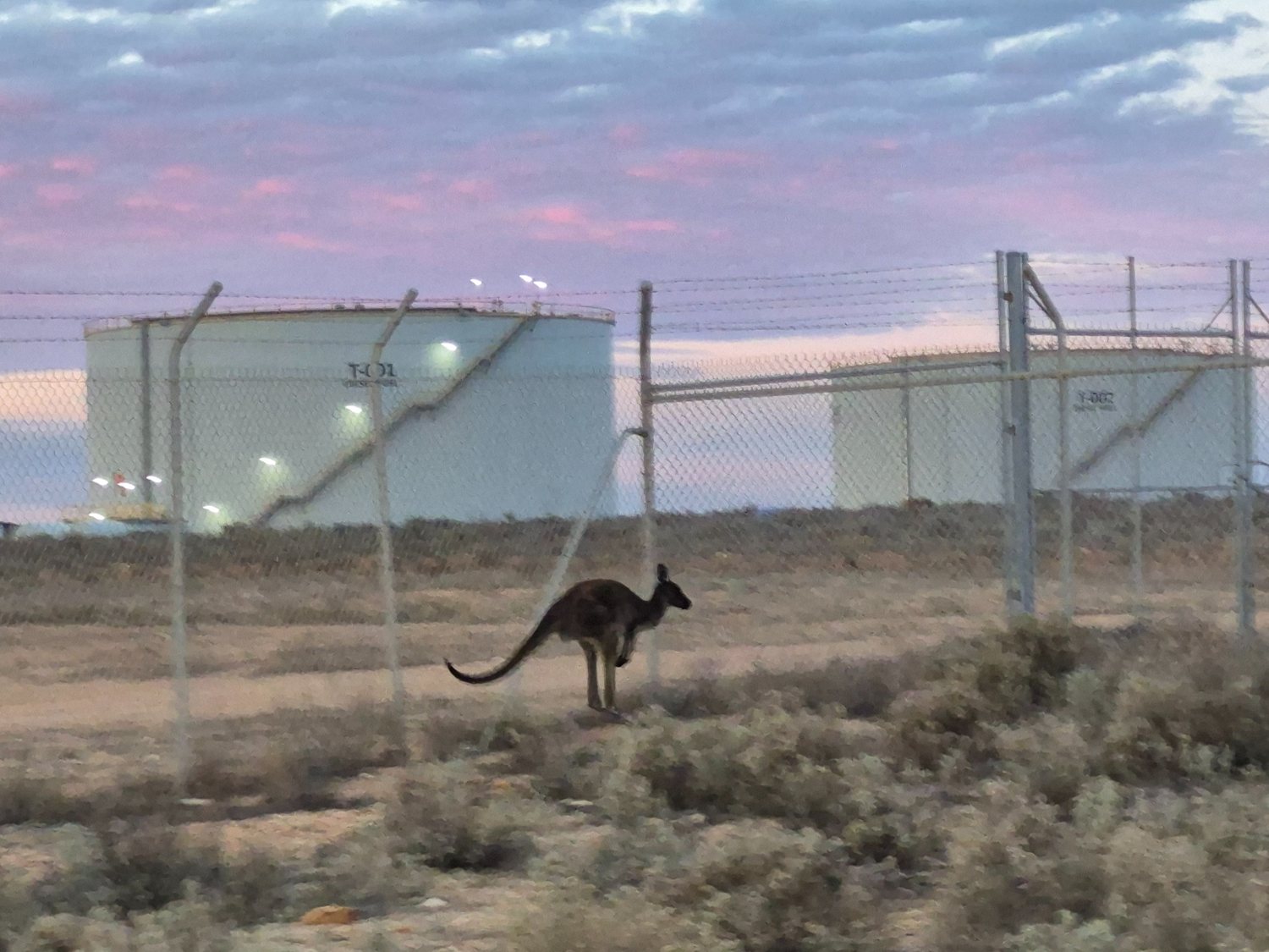 Storage terminal at dusk